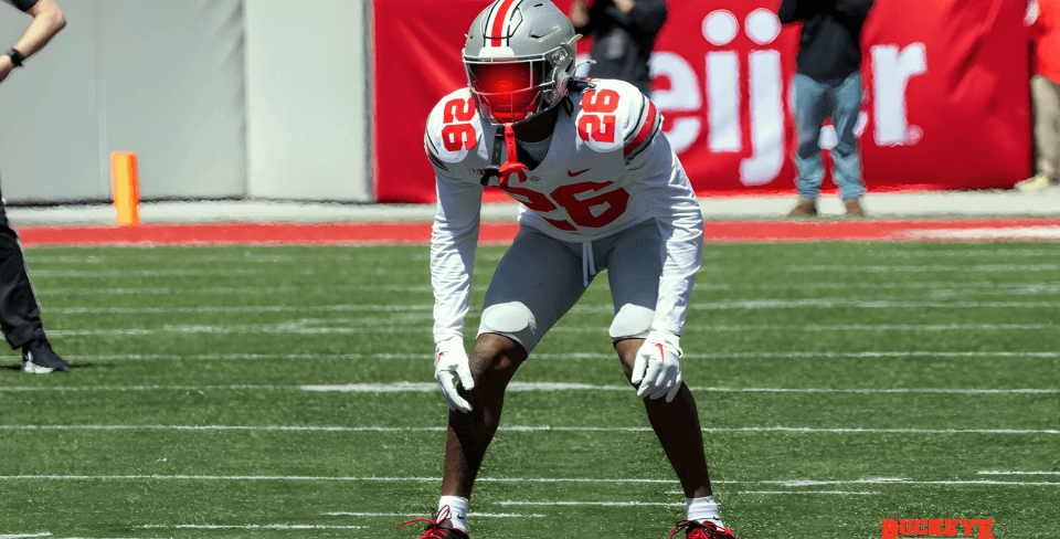 Second-Year Safety Cedrick Hawkins Leaving Ohio State
