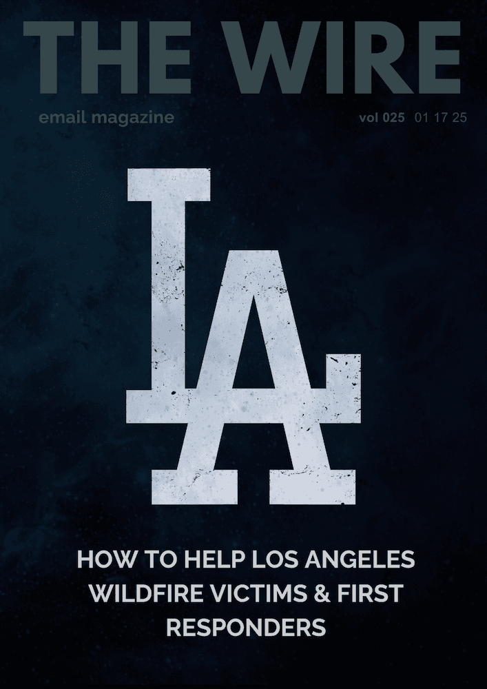 How to Support LA Wildfire Victims